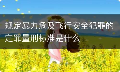 规定暴力危及飞行安全犯罪的定罪量刑标准是什么