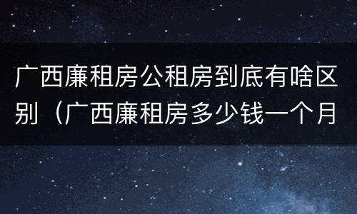 广西廉租房公租房到底有啥区别（广西廉租房多少钱一个月）