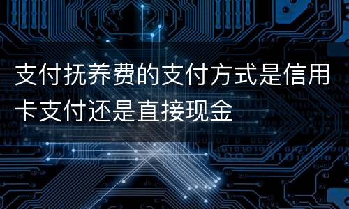 支付抚养费的支付方式是信用卡支付还是直接现金
