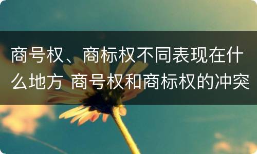 商号权、商标权不同表现在什么地方 商号权和商标权的冲突和解决