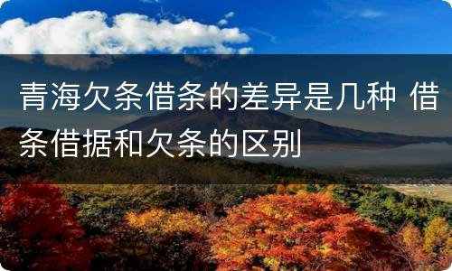 青海欠条借条的差异是几种 借条借据和欠条的区别