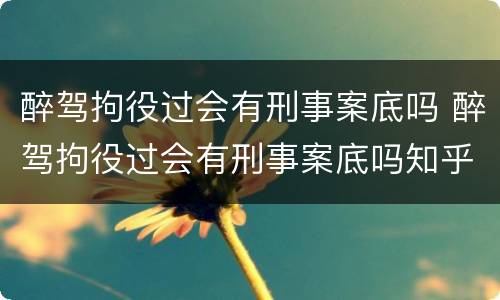 醉驾拘役过会有刑事案底吗 醉驾拘役过会有刑事案底吗知乎