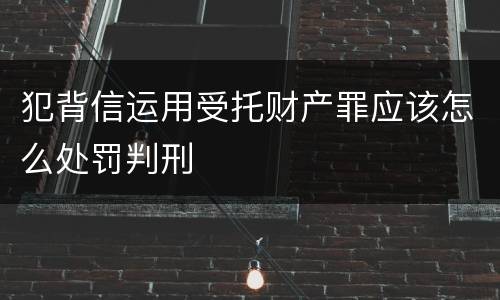犯背信运用受托财产罪应该怎么处罚判刑