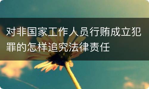 对非国家工作人员行贿成立犯罪的怎样追究法律责任