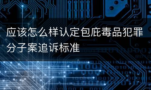 应该怎么样认定包庇毒品犯罪分子案追诉标准