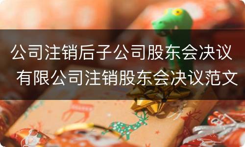 公司注销后子公司股东会决议 有限公司注销股东会决议范文