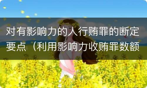 对有影响力的人行贿罪的断定要点（利用影响力收贿罪数额如何确定）