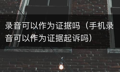 录音可以作为证据吗（手机录音可以作为证据起诉吗）