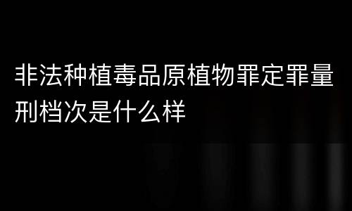 非法种植毒品原植物罪定罪量刑档次是什么样