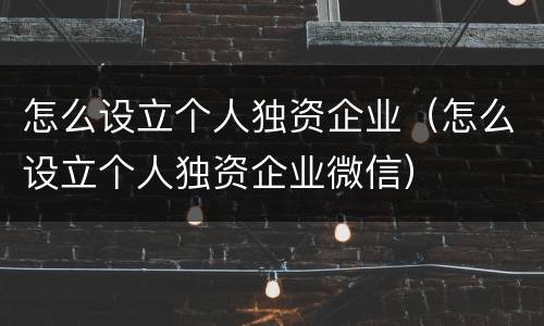 怎么设立个人独资企业（怎么设立个人独资企业微信）