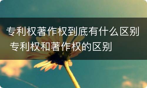专利权著作权到底有什么区别 专利权和著作权的区别