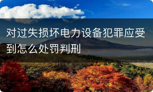 对过失损坏电力设备犯罪应受到怎么处罚判刑