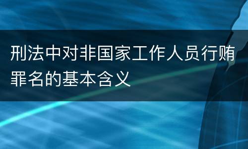 刑法中对非国家工作人员行贿罪名的基本含义