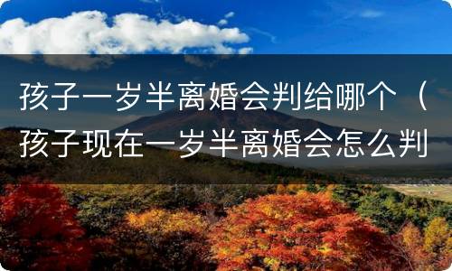 孩子一岁半离婚会判给哪个（孩子现在一岁半离婚会怎么判）