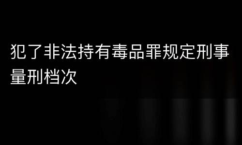 犯了非法持有毒品罪规定刑事量刑档次