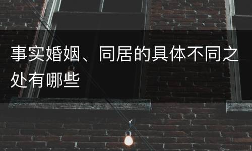 事实婚姻、同居的具体不同之处有哪些