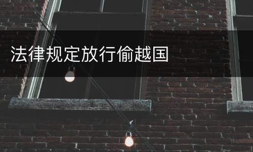 法律规定放行偷越国