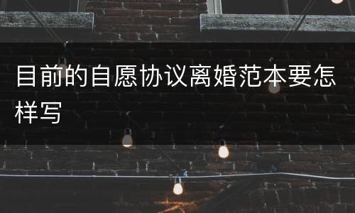 目前的自愿协议离婚范本要怎样写