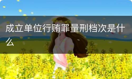 成立单位行贿罪量刑档次是什么