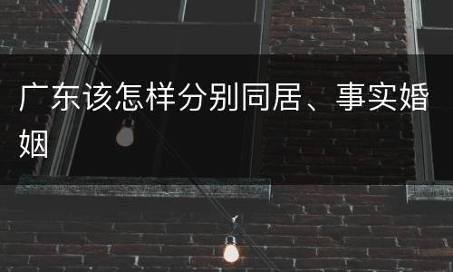 广东该怎样分别同居、事实婚姻