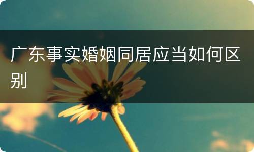 广东事实婚姻同居应当如何区别