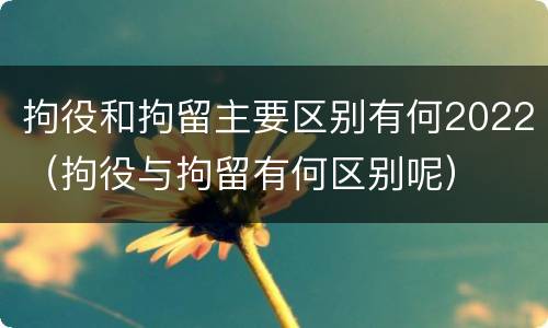 拘役和拘留主要区别有何2022（拘役与拘留有何区别呢）