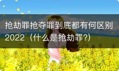 抢劫罪抢夺罪到底都有何区别2022（什么是抢劫罪?）