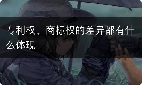 专利权、商标权的差异都有什么体现