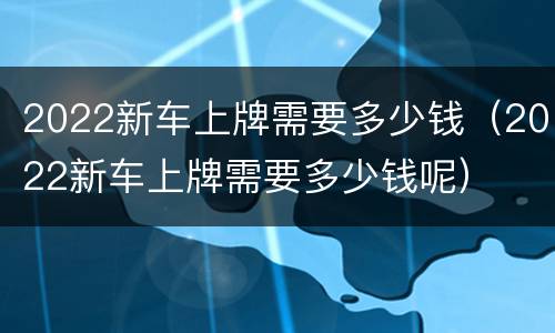 2022新车上牌需要多少钱（2022新车上牌需要多少钱呢）