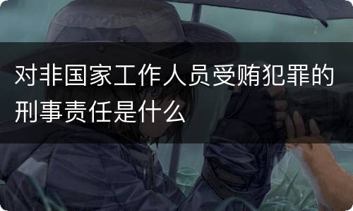 对非国家工作人员受贿犯罪的刑事责任是什么