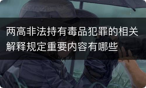 两高非法持有毒品犯罪的相关解释规定重要内容有哪些
