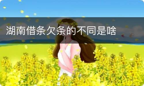 湖南借条欠条的不同是啥