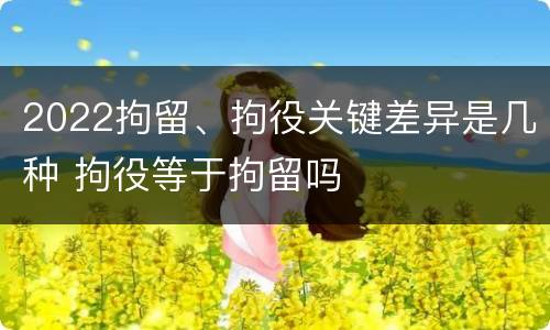 2022拘留、拘役关键差异是几种 拘役等于拘留吗