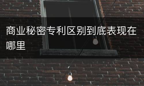 商业秘密专利区别到底表现在哪里