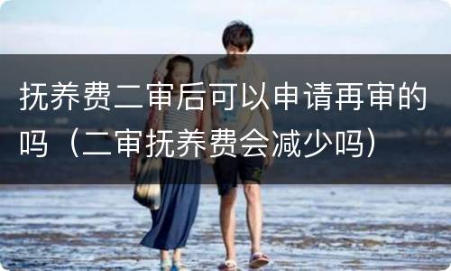 抚养费二审后可以申请再审的吗（二审抚养费会减少吗）