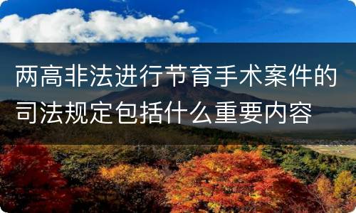 两高非法进行节育手术案件的司法规定包括什么重要内容