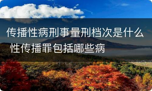 传播性病刑事量刑档次是什么 性传播罪包括哪些病