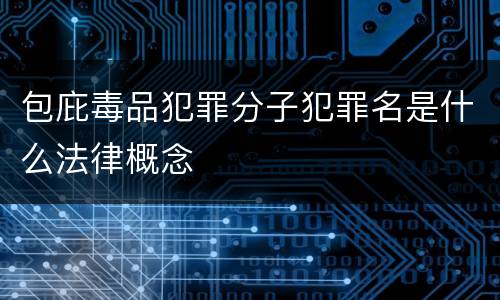 包庇毒品犯罪分子犯罪名是什么法律概念