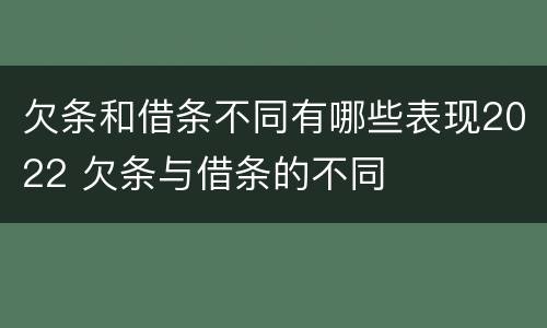 欠条和借条不同有哪些表现2022 欠条与借条的不同
