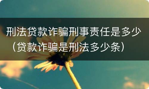 刑法贷款诈骗刑事责任是多少（贷款诈骗是刑法多少条）