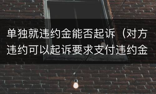 单独就违约金能否起诉（对方违约可以起诉要求支付违约金吗）