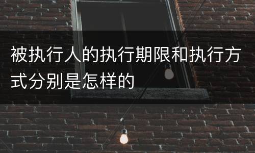 被执行人的执行期限和执行方式分别是怎样的