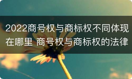 2022商号权与商标权不同体现在哪里 商号权与商标权的法律冲突与解决