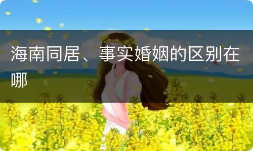 海南同居、事实婚姻的区别在哪