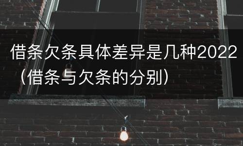 借条欠条具体差异是几种2022（借条与欠条的分别）