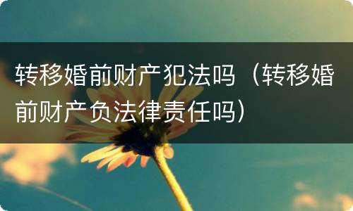 转移婚前财产犯法吗（转移婚前财产负法律责任吗）
