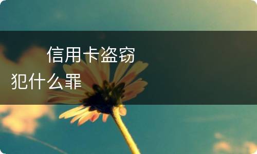 　　信用卡盗窃犯什么罪