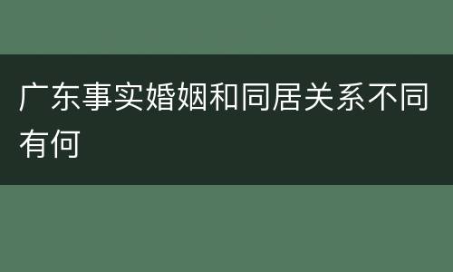 广东事实婚姻和同居关系不同有何