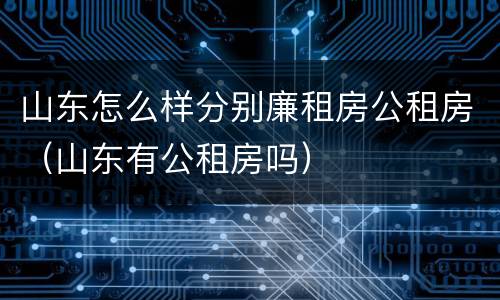 山东怎么样分别廉租房公租房（山东有公租房吗）