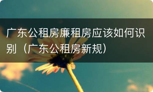 广东公租房廉租房应该如何识别（广东公租房新规）